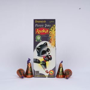 Flower Pot Asohka